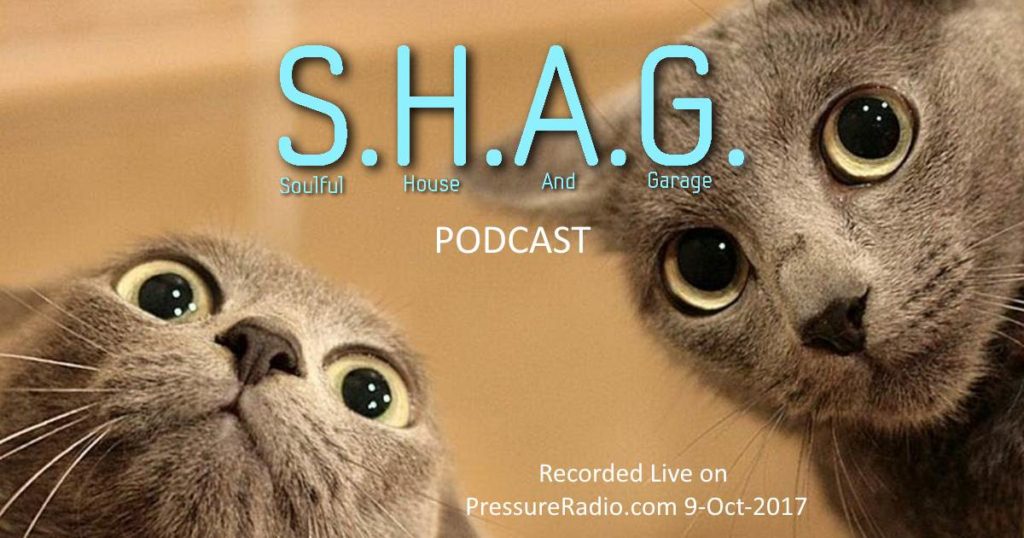 SHAG Soulful House And Garage Podcast Cats image