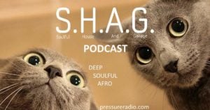 SHAG Podcast Cats image